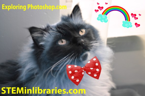 dsc_0122_12623739173_oedited